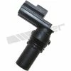 Vehicle Speed Sensor, Walker Products 240-1059 -Body Elegant shop PXU O2240 1059