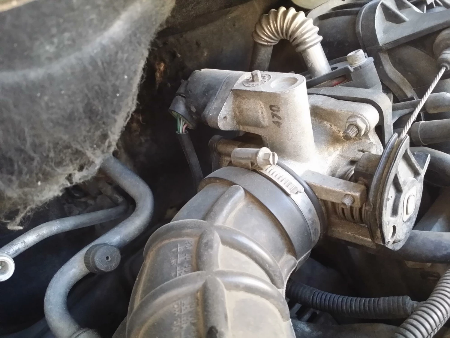 Body Elegant shop -Body Elegant shop e