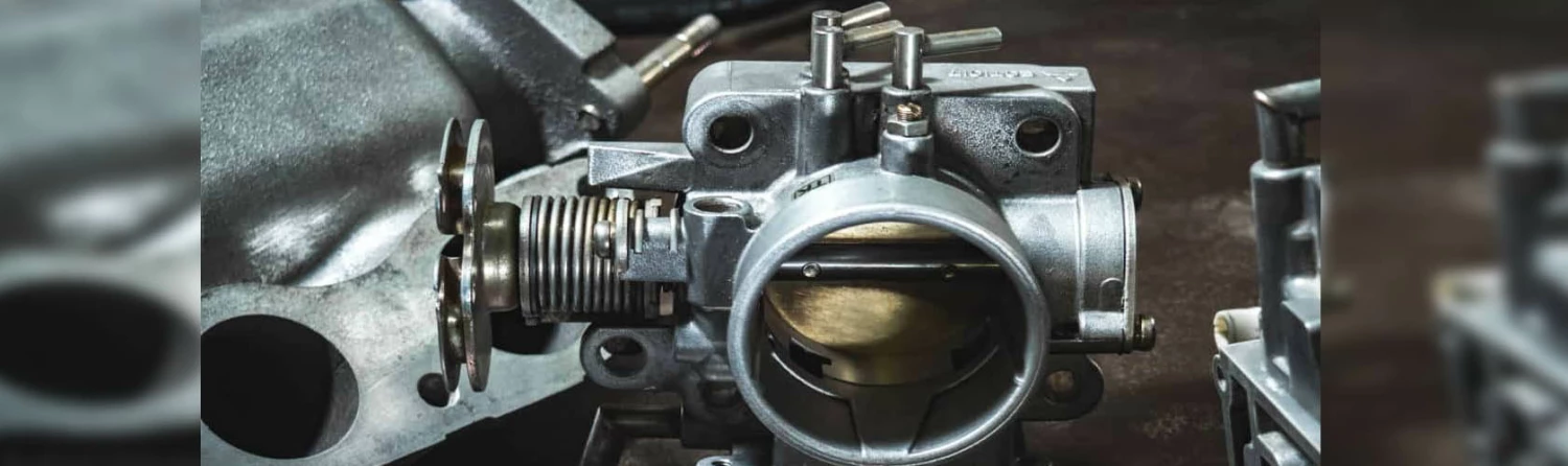 Body Elegant shop -Body Elegant shop q3