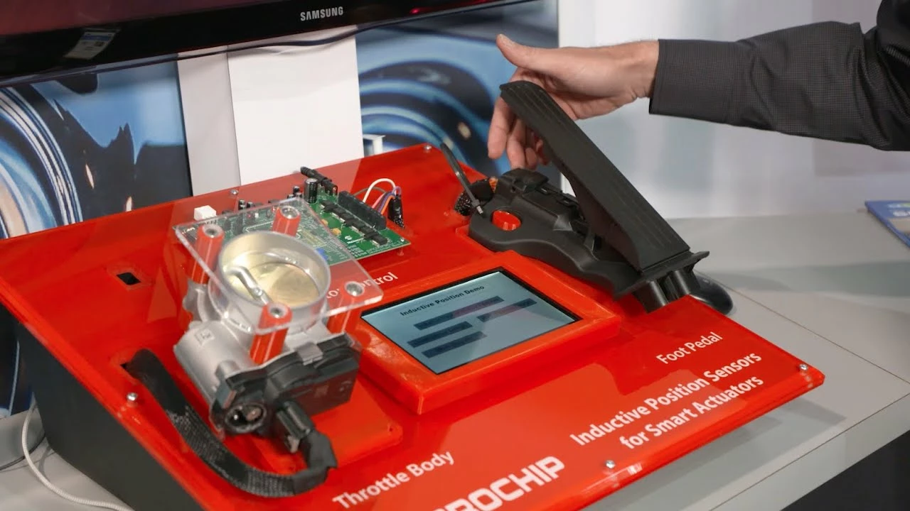 Body Elegant shop -Body Elegant shop q33